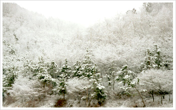 우암산 겨울 전경