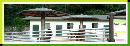 Cheongju Zoo