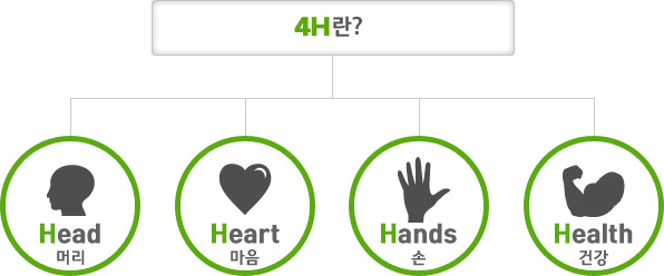 4-H라 함은 머리 (Head),마음(Heart),손(Hands),건강(Health)을 의미하는 영어 단어의 머릿글자(H) 네개를 말한다 