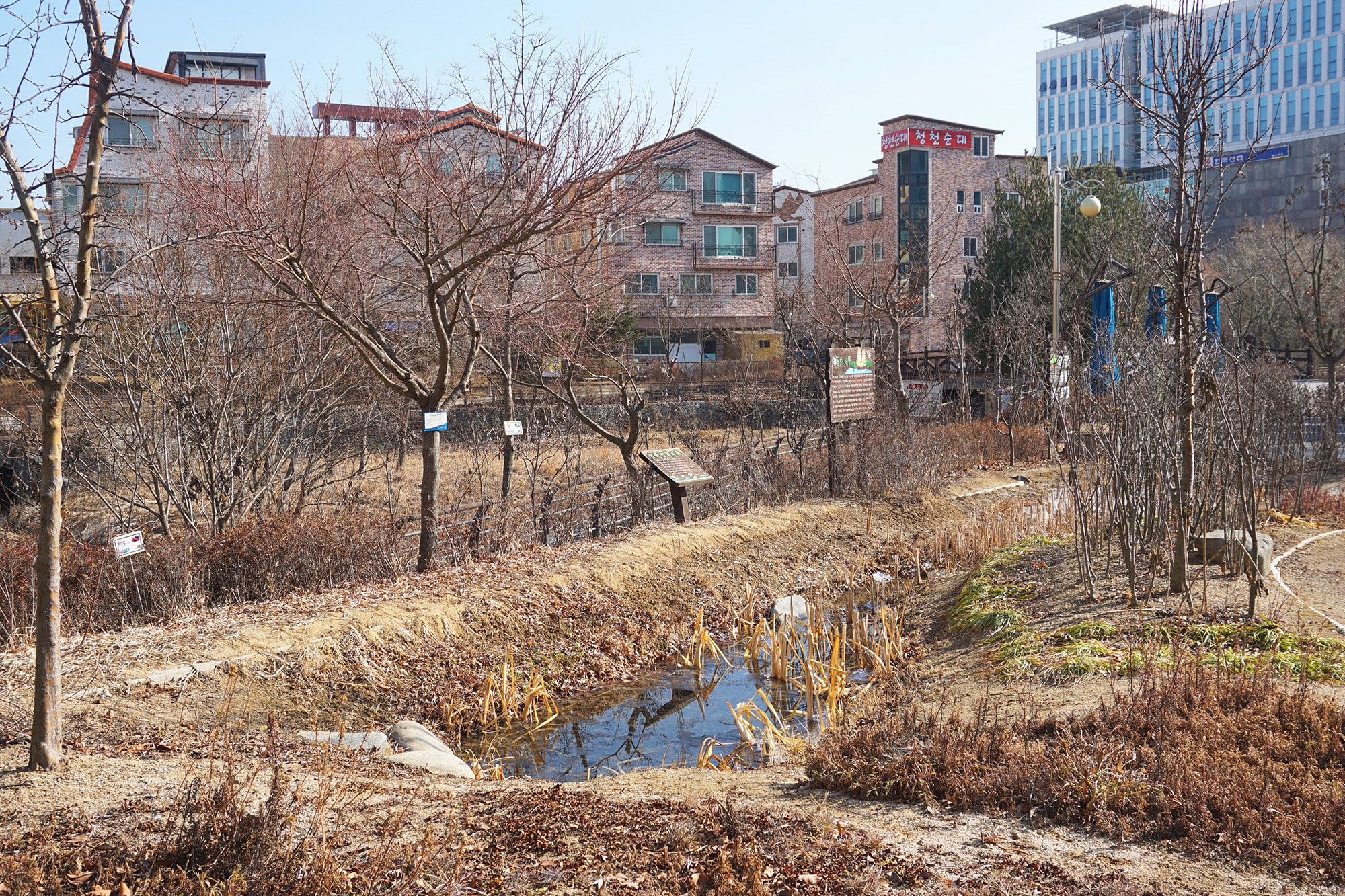 공원 풍경 사진