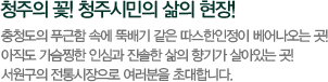 청주의 꽃! 청주시민의 삶의 현장! 충청도의 푸근함 속에 뚝배기 같은 따스한 인정이 배어나오는 곳! 아직도 가슴찡한 인심과 진솔한 삶의 향기가 살아있는 곳! 전통의 재래시장으로 여러분을 초대합니다.