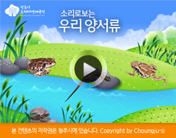 소리로 보는 우리 양서류