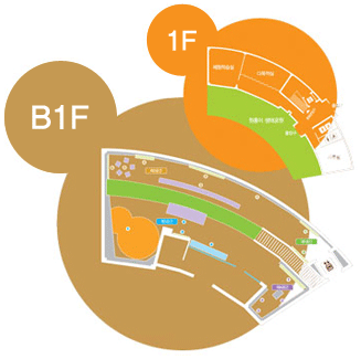 B1층과 1층 도면